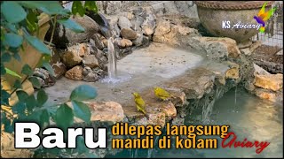 Download lagu Pelepasan Burung Tahap II di Kandang Aviary. Murai Batu, Klincer, Prenjak, Jalak Kebo, Jalak Suren mp3