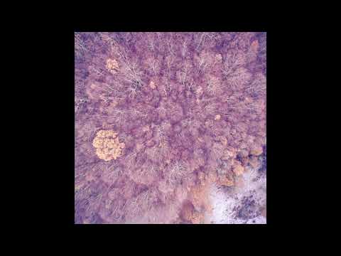 Satori Minayia 悟り - Icaro (Full Album 2021)