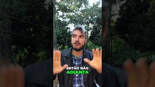 Seu Cão Não Cura  A Culpa Pode Ser da Dieta!
