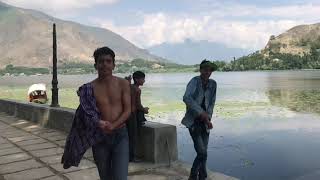 preview picture of video 'Manasbal lake kashmir'