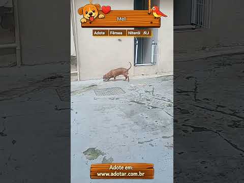Vídeo de Mel