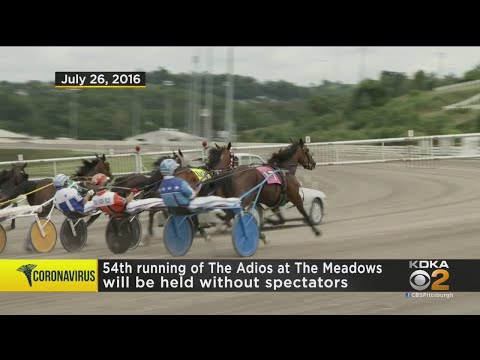 The Adios Will Go Without Fans