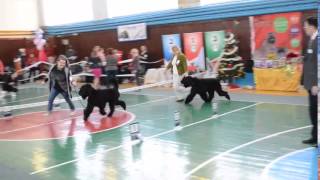 , видео 26.12.2015