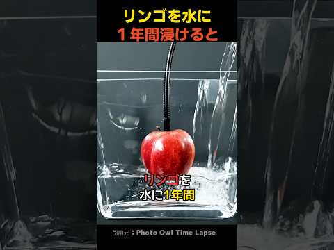 If you soak an apple in water for a year
