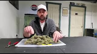 Ethos Hashplant review
