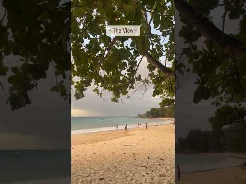 #beach #nature #seychelles #heeriye #shorts #beautiful #sunset #naturelovers #water #sand #beachlife