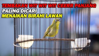 Download lagu PANCINGAN PLECI NEMBAK WIT WIT CEERR PANJANG, BIKIN BIRAHI LAWAN NAIK DAN CEPAT BUKA PARUH mp3 Download lagu PANCINGAN PLECI NEMBAK WIT WIT CEERR PANJANG, BIKIN BIRAHI LAWAN NAIK DAN CEPAT BUKA PARUH mp3