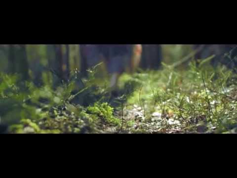 Daba mostas, mosties arī Tu