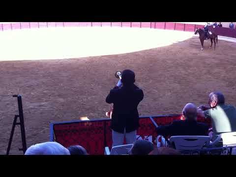 Toque de entrada de toiros - João Ribeiro - Chamusca 2015