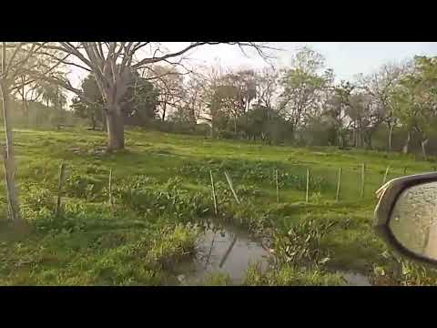 20 Hektar Paraguay Grundstück kaufen in Mbuyapey