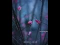 Malayalam Song Status Malayalam Song Whatsapp Status Malayalam Malayalam Song Whatsapp Status