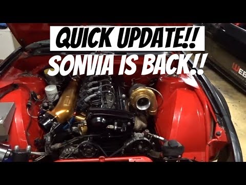 Sonvia and RBM3 Update!
