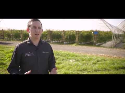 Binwise, an advanced harvest logistics and supply chain management system