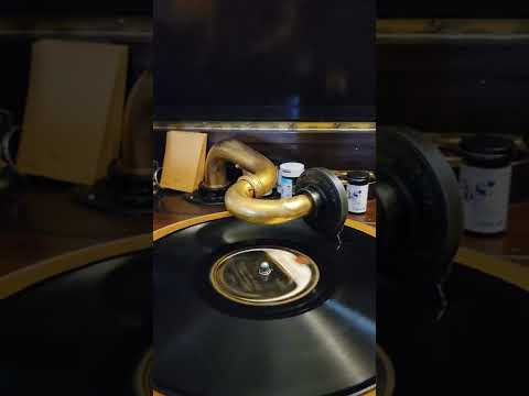 Without You - Gene Rodemich's Orchestra Brunswick Records #2398 1923