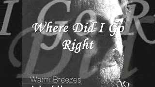 Where Did I Go Right - Andrew Gold