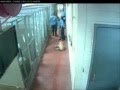 How Memphis Animal Services really treats the ...
