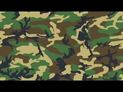 Camouflage Life - Arab Summit