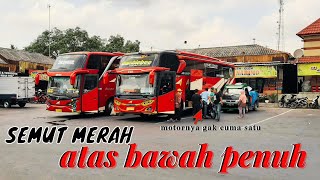 Download lagu WOWWW..!!PO Agra Mas Sang Penguasa Wonogiri Sampai Mengangkut 3 Motor di Terminal Kecil Pracimantoro mp3