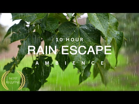 10 Hour | Nature's Symphony: Relaxing Rain on Leaves | Meditation | Stress-Relief | Calm Atmosphere