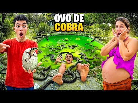 We found a snake egg in the Chernobyl swimming pool *it's venomous