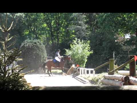 Mohlen Gravenbruch Hunter 2011