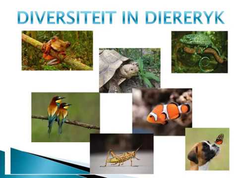 Lewenswetenskap GRAAD 11: 24 April 2020 - periode 7 (24117)