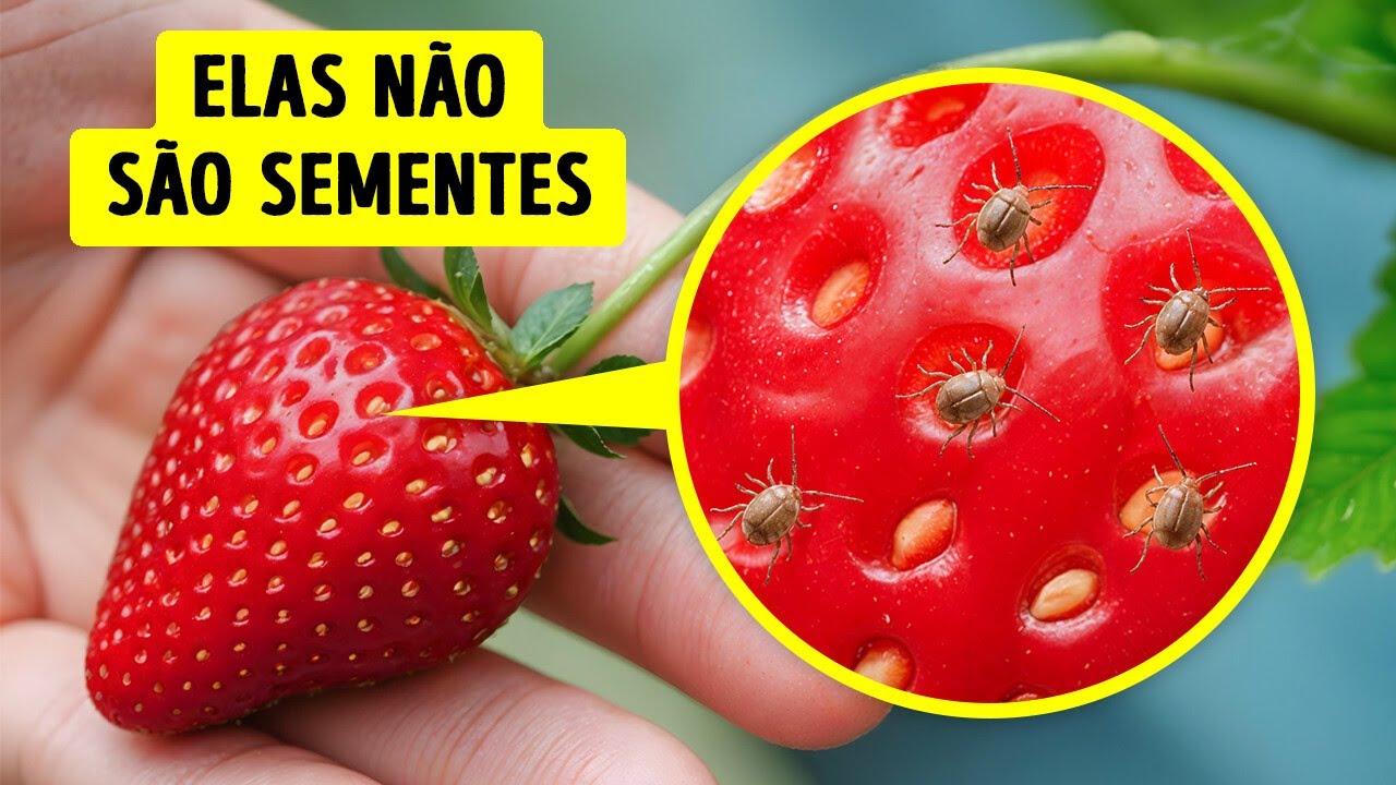 Vidas secretas das coisas ao seu redor