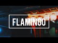 Flamingo - Kenshi Yonezu - Sub Romaji