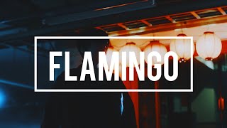 Flamingo - Kenshi Yonezu - Sub Romaji