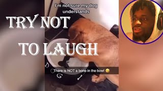 TRY NOT TO LAUGH | LAUGH = END