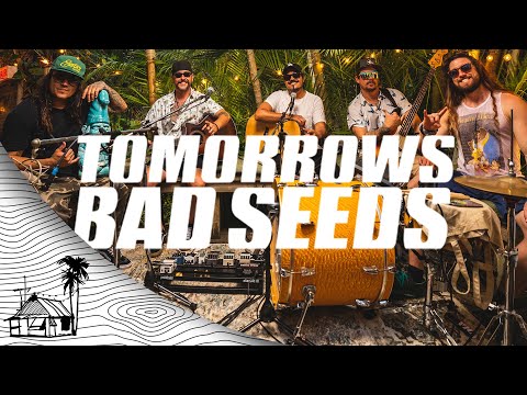 Tomorrow's Bad Seeds - Visual Ep (Live Acoustic) | Sugarshack Sessions