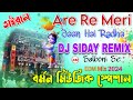 Are Re Meri Jaan Hai Radha New EDM Song 2024 Barman Music Special DJ SIDAY REMIX ️ ️