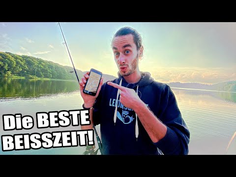 Du bekommst NIE Bisse? Das ist der Grund - Die beste Fangzeit für Zander