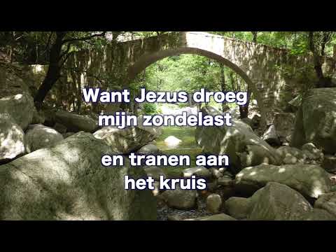 Opwekking 428 Genade zo oneindig groot