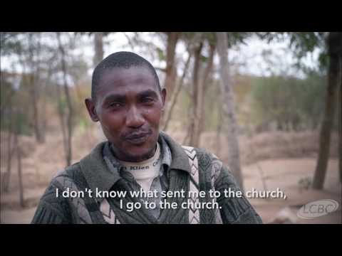 Witness21 Editor  2016 10 18