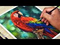 Watercolor Painting Of A Macaw Parrot