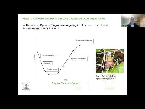 Lepidoptera and Plants - generalists and specialists making it in the plant world