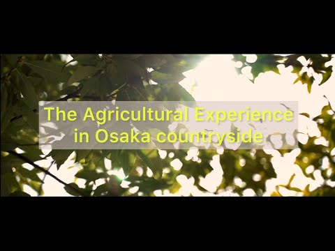 The Agricultural Experience in Osaka countryside.