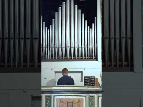 Tarquinio Merula - Nigra sum - Miriam Callegaro & Seicento Stravagante #short #seicentostravagante