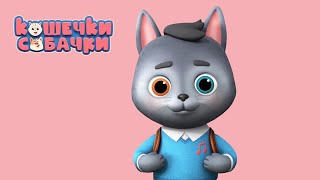 Кошечки-Собачки. Новичок. Серия 53