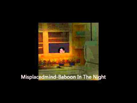 Misplacedmind-Baboon In The Night