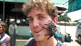 MASSIVE TARANTULA ON MY FACE!!! | Phnom Penh, Cambodia