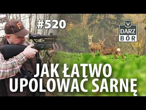 Darz Bór odc. 520 Łatwe polowanie na sarny…