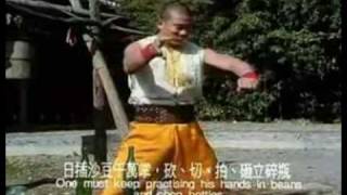 Songshan/shaolin Training - Part 3/3