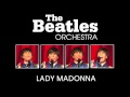 The Beat Orchestra - Lady Madonna