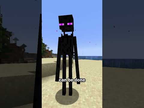 How to stop endermen