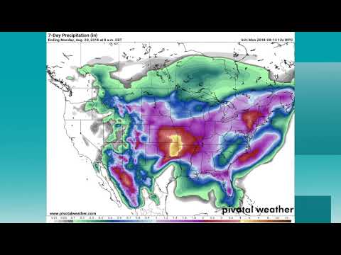 August 13, 2018 Weather Xtreme Video - Morning Edition