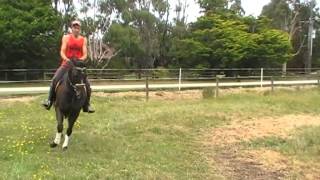 Copy of Blaze - Elevation and Presence!!!!