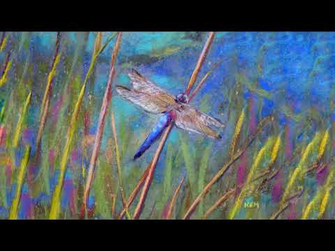 Libellen-Walzer, Op. 180 - Johann Strauss II