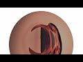 EUSEXUA An Art Dance Film